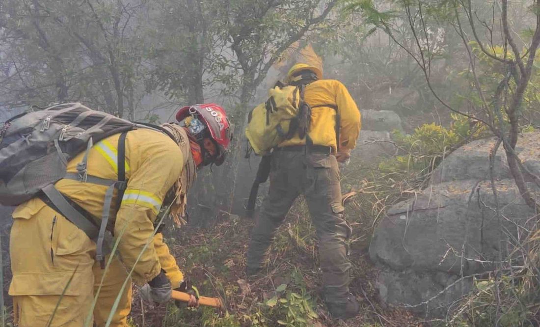 Reportan 4 incendios forestales en Nuevo León; consumen más de 80 hectáreas de vegetación