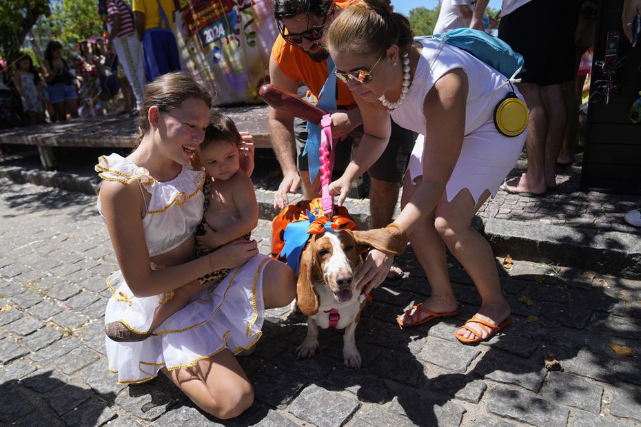 Asistentes al carnaval acarician a un perro disfrazado, en Río de Janeiro. Foto: AP