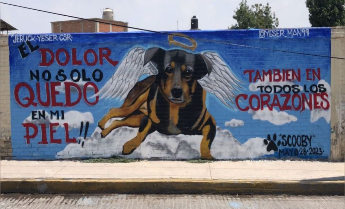 “Surge de la empatía y la solidaridad', dice artista de mural de Scobby, perrito arrojado a aceite hirviendo; VIDEO
