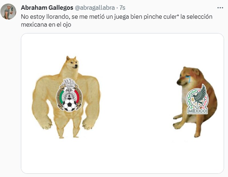 Memes de la Selección Mexicana