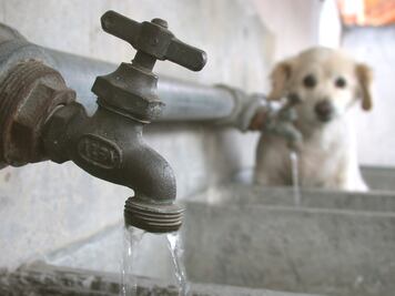 Urgen en Asamblea poner fin a desastres hídricos  