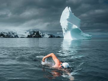 Activista nada en la Antártida para pedir protección oceánica