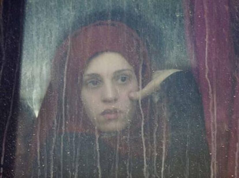 Premian retrato de androide japonés