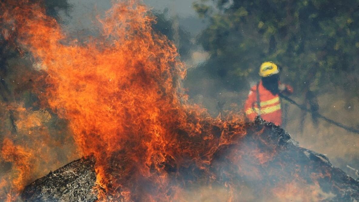 La selva amazónica se ha vuelto cada vez más susceptible a sufrir incendios (Foto: Reuters)