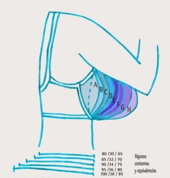 Existe más de una talla de sostén perfecta para ti