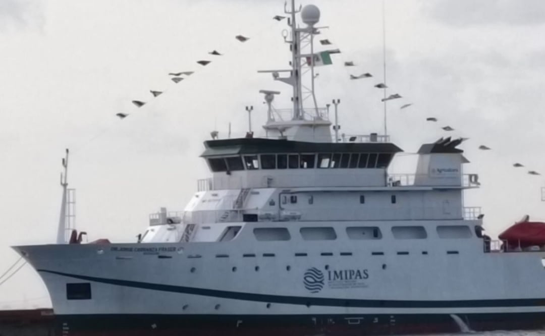 Gobierno y científicos de Quintana Roo combaten el sargazo; realizan investigación de alto nivel. Foto: Especial