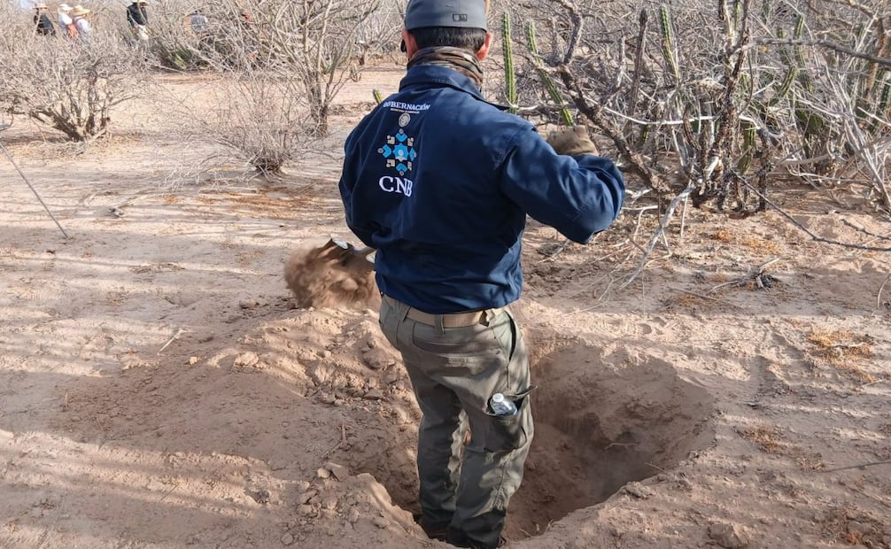 Baja California Sur inicia registro de fosas comunes. Foto: Especial