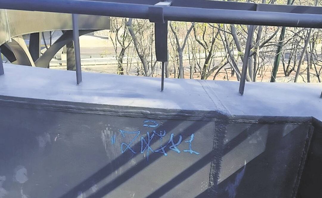 Pintas en la recién inaugurada Calzada flotante.