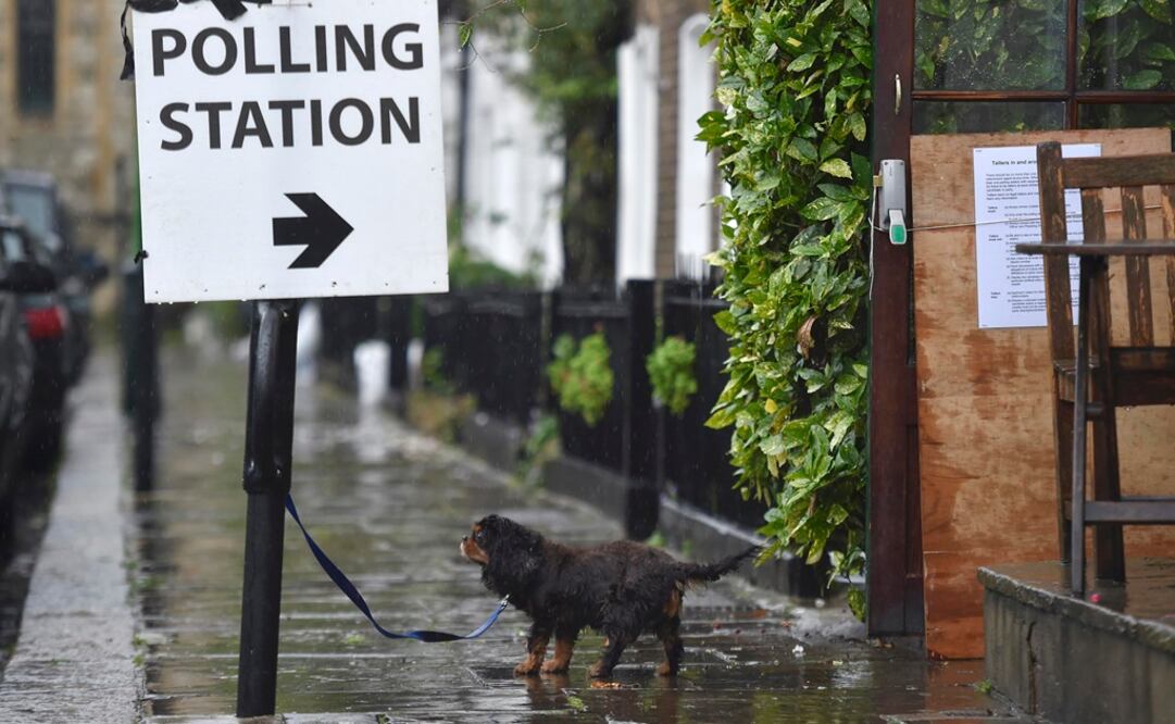 Un perro espera a su dueño en una casilla de Londres. (Reuters)