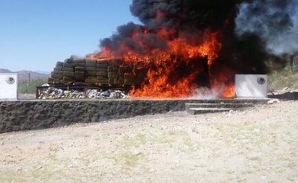 Destruyen 8.8 toneladas de mariguana en Sonora