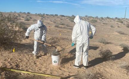 Colectivos hallan restos de al menos 13 personas en fosas clandestinas de Sonora