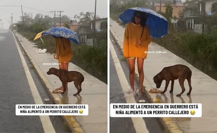VIDEO:  En plena emergencia por "John", enternece al alimentar a perrito callejero en Guerrero