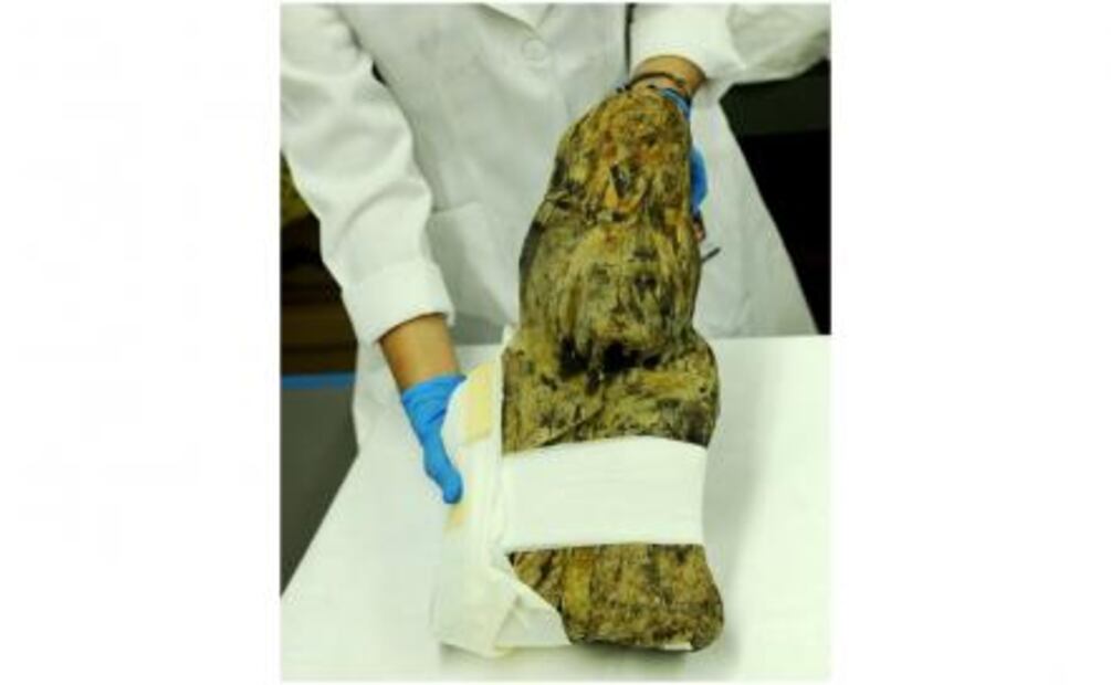 Anuncian logros en combate al tráfico ilícito de bienes culturales