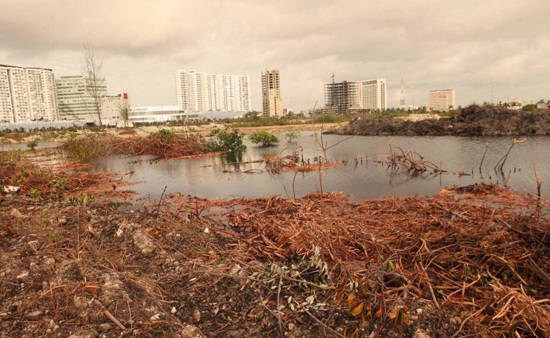 Before Juárez endorsed the environmental impact study for the Tajamar project, he was questioned by NGOs for approving the construction of Costa Cancún, that also involved destroying mangroves. (Photo: Adrián Hernández / EL UNIVERSAL) 