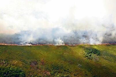 Fuego en Dzilam arrasa 150 hectáreas de vegetación