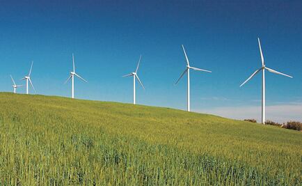The President is not a fan of wind farms