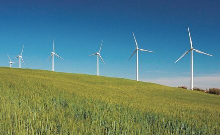 The President is not a fan of wind farms