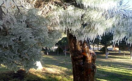 Alertan por entrada de Frente Frío 15 en Hidalgo