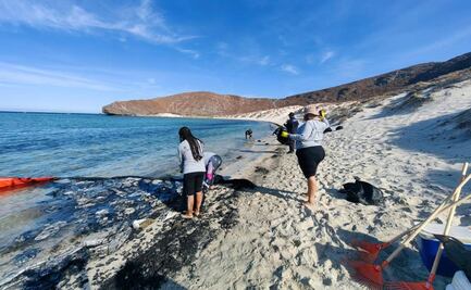 Inicia extracción de yate que contaminó playa Balandra en Baja California Sur