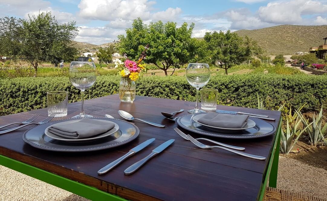 Jazamango, propuesta de gastronomía orgánica en Todos Santos Foto: Claudia Ramírez