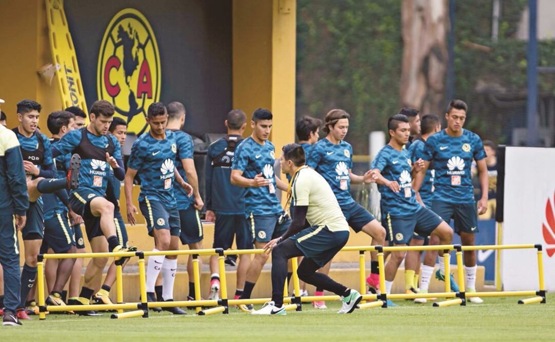 Íconos vuelan del Nido