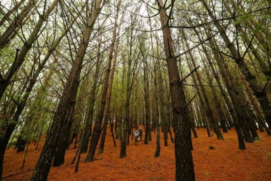 Conoce el nuevo glamping cerca del Centro Ceremonial Otomí