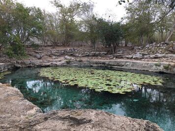 Descubren caverna con vestigios y osamentas en cenote de Yucatán