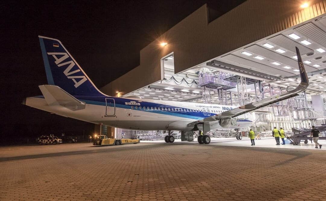 (Foto: Tomada de @FlyANA_official)
