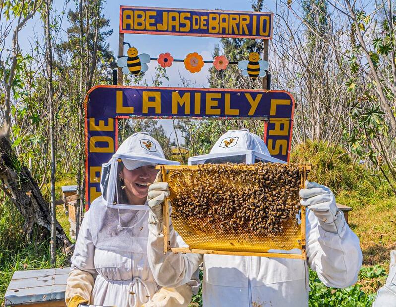 Foto: Abejas de Barrio