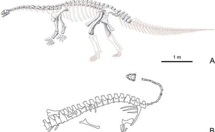 Nueva especie de dinosaurio con patas de lagarto fue descubierto en China