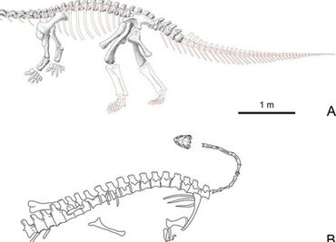 Nueva especie de dinosaurio con patas de lagarto fue descubierto en China