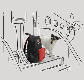 La colección del Año del Perro de Donatella Versace