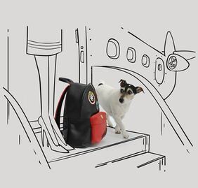 La colección del Año del Perro de Donatella Versace