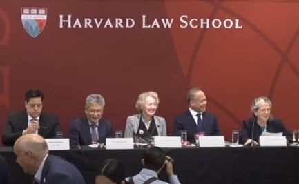 VIDEO: Requisitos para elección judicial desata risas en Harvard; piden cinco cartas de referencia de sus vecinos