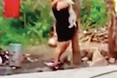 Denuncian a mujer que colgó a perro de un árbol