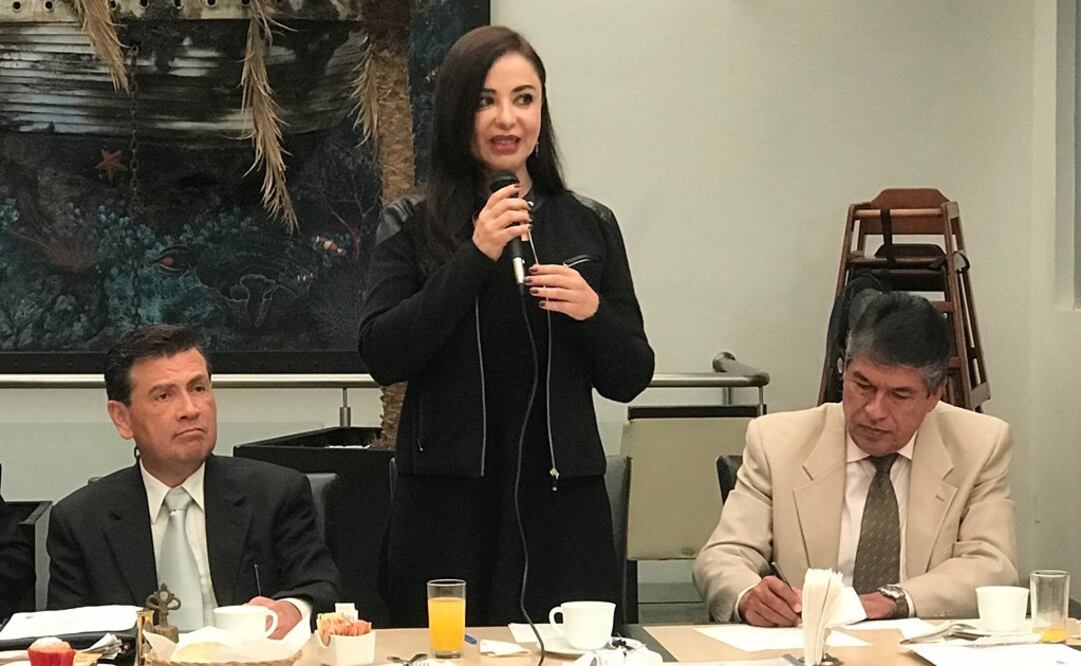 Dirigentes vecinales de más de 60 fraccionamientos también pidieron respeto al uso de suelo. Foto: Rebeca Jiménez / EL UNIVERSAL