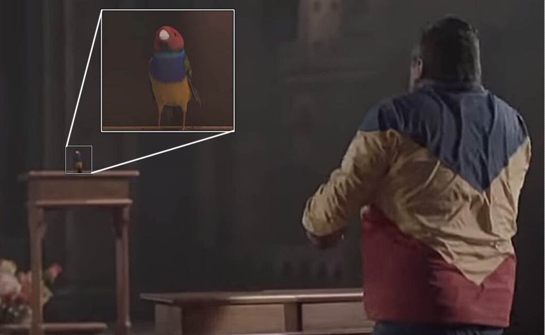 En el comercial de la telefónica WOM, un actor recrea el episodio con la coletilla "si también recibes una mala señal" Foto: Tomada de YouTube