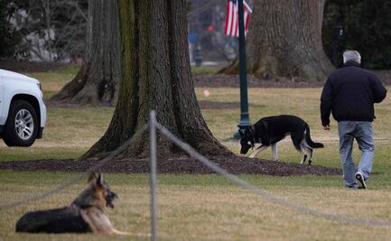 Por comportamiento agresivo, retiran de la Casa Blanca a los perros de los Biden
