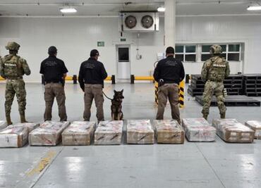Mexican Navy seizes 678 kg of cocaine in Manzanillo