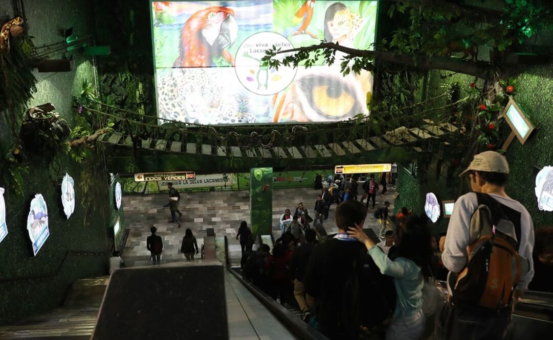La estación Viveros de la Línea 3 del Metro se convirtió en una selva para crear conciencia en los usuarios sobre la importancia de la selva lacandona, la cual se ubica en el estado de Chiapas. 