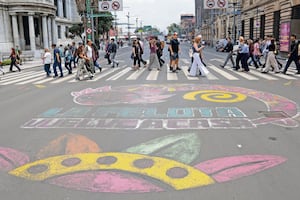 Se acabó el Mundial y no se ven los ajolotes en cruces viales