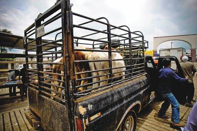 Paga Sagarpa mil 200 mdp a productores