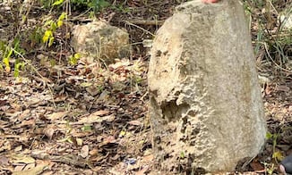 Denuncian abandono del INAH en pueblo maya; ruinas arqueológicas, vinculadas a Chichén Itzá, han sido saqueadas