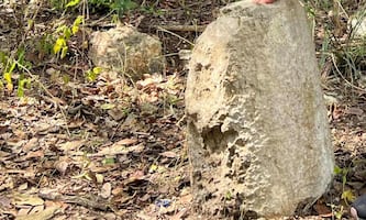 Denuncian abandono del INAH en pueblo maya; ruinas arqueológicas, vinculadas a Chichén Itzá, han sido saqueadas