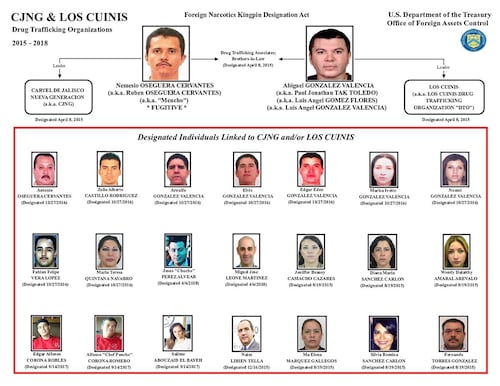 Ex-Wife of 'Los Cuinis' Leader Pleads Guilty in U.S. to Sanctions Violation