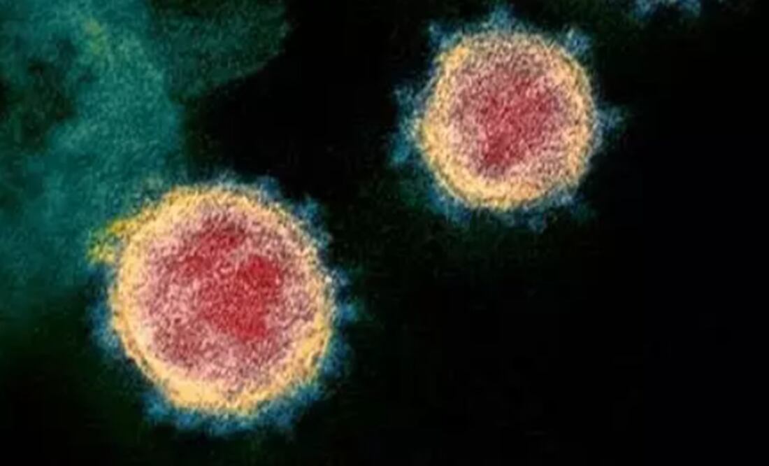 Micrografía de viriones de SARS-CoV-2. Foto: Europa Press