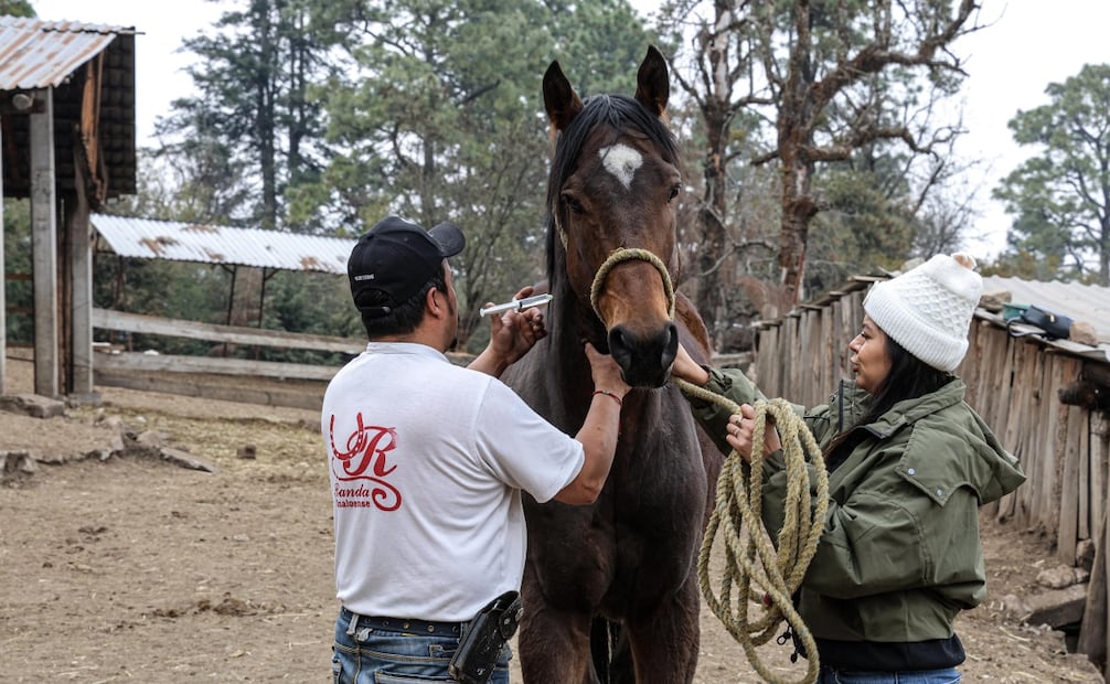Elizabeth Soto, activista y directora del santuario Seres Libres, en el que rescata burros y caballos. Foto: Gabriel Pano/ EL UNIVERSAL