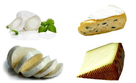 ¿Cuál es el queso que más te gusta?