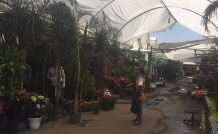 Asignan a 20 policías vigilancia de Mercado de flores en Cuamanco