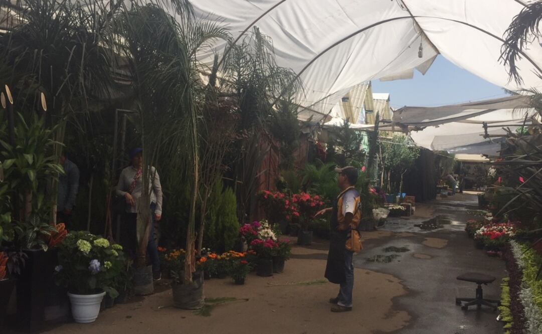 Fotografía: Archivo EL UNIVERSAL